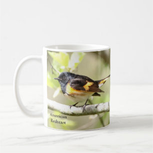American Redstart Mug by BirdingCollectibles