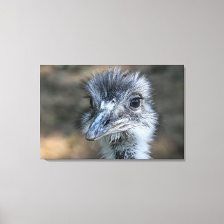 American Rhea Portrait Canvas Print