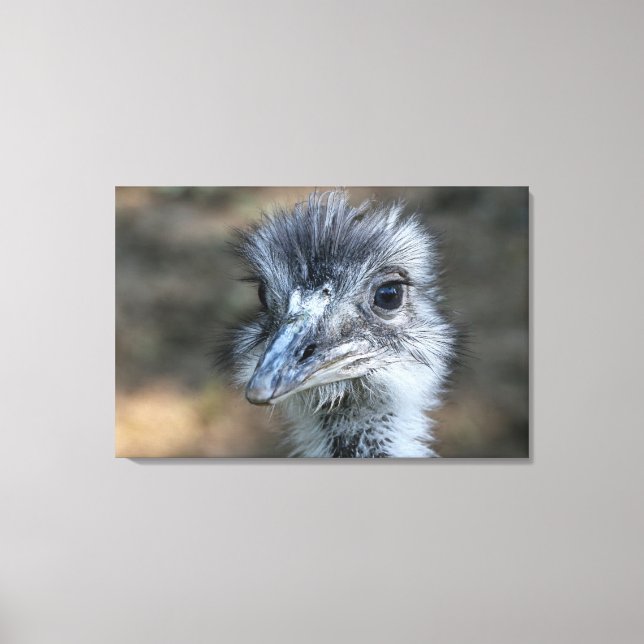 American Rhea Portrait Canvas Print (Front)