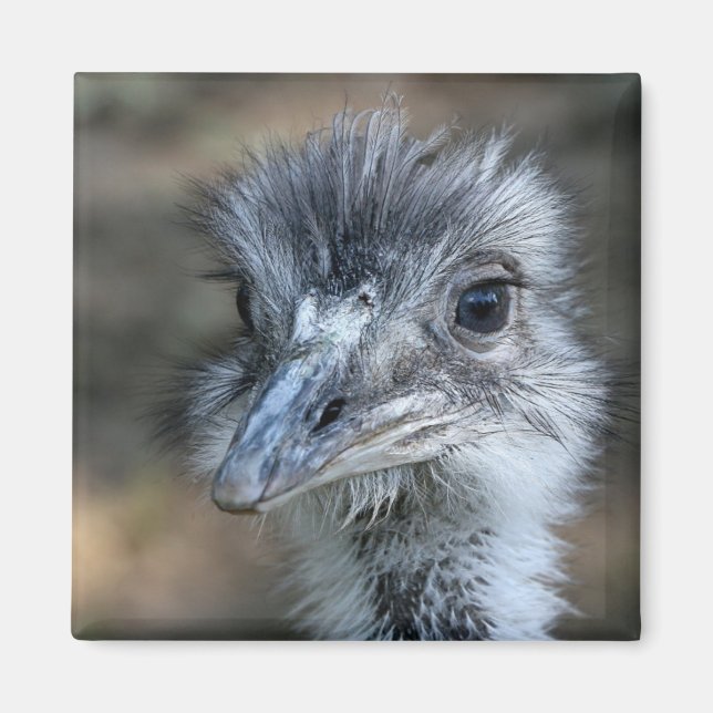 American Rhea Portrait Magnet (Front)