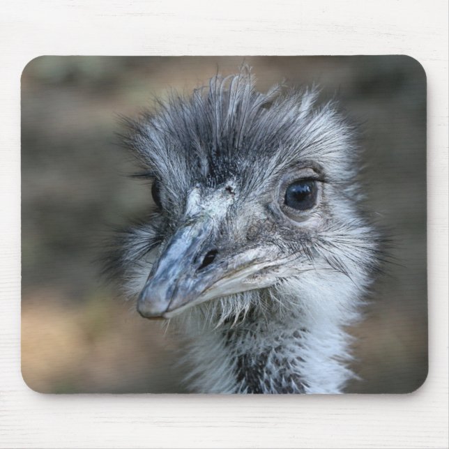 American Rhea Portrait Mouse Mat (Front)