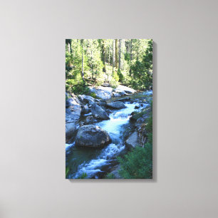 "American River" Canvas Print