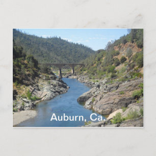 American River Postcard