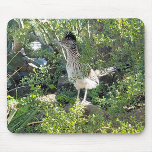 American Roadrunner in the Arizona Desert Mouse Mat