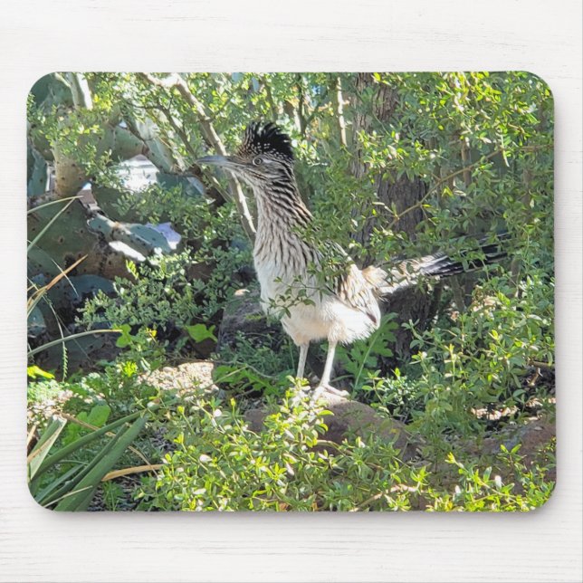 American Roadrunner in the Arizona Desert Mouse Mat (Front)