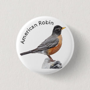 American Robin 3 Cm Round Badge