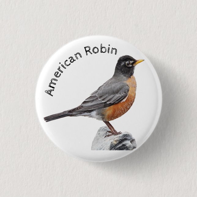 American Robin 3 Cm Round Badge (Front)