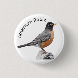 American Robin 3 Cm Round Badge