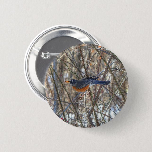 American Robin 6 Cm Round Badge (Front & Back)