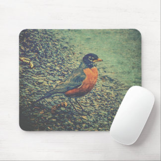 American Robin Bird Nature Mouse Mat