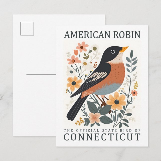 American Robin Bird of Connecticut USA Travel Postcard (Front/Back)