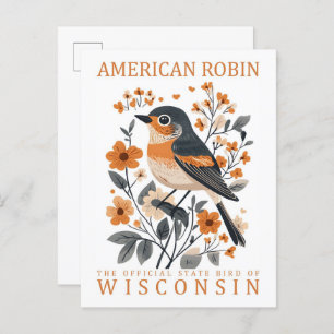 American Robin Bird of Wisconsin Travel Postcard