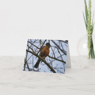 American Robin Birds of Spring Card