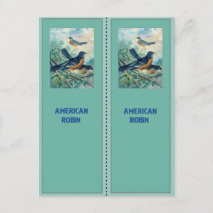 American Robin Bookmarks Postcard