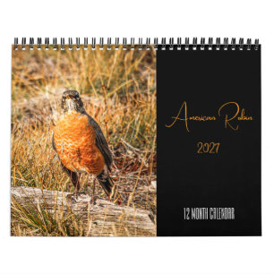 American Robin Calendar 2027
