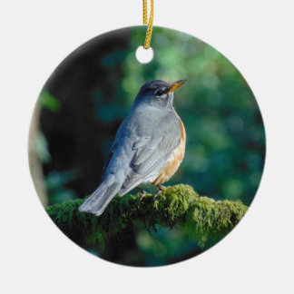 American Robin Ceramic Tree Decoration
