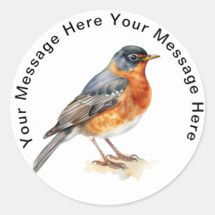 American Robin  Classic Round Sticker