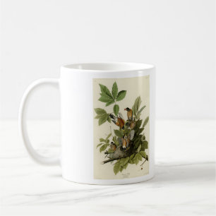 American Robin from Audubon's Birds of America Coffee Mug
