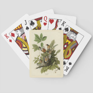 American Robin from Audubon's Birds of America Playing Cards