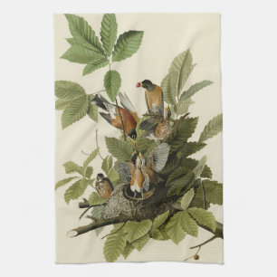 American Robin from Audubon's Birds of America Tea Towel