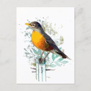 American Robin Garden Bird Wildlife Nature Art Postcard