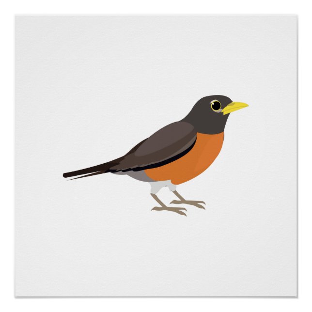 American Robin Illustration Poster (Front)