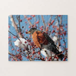 American robin jigsaw puzzle