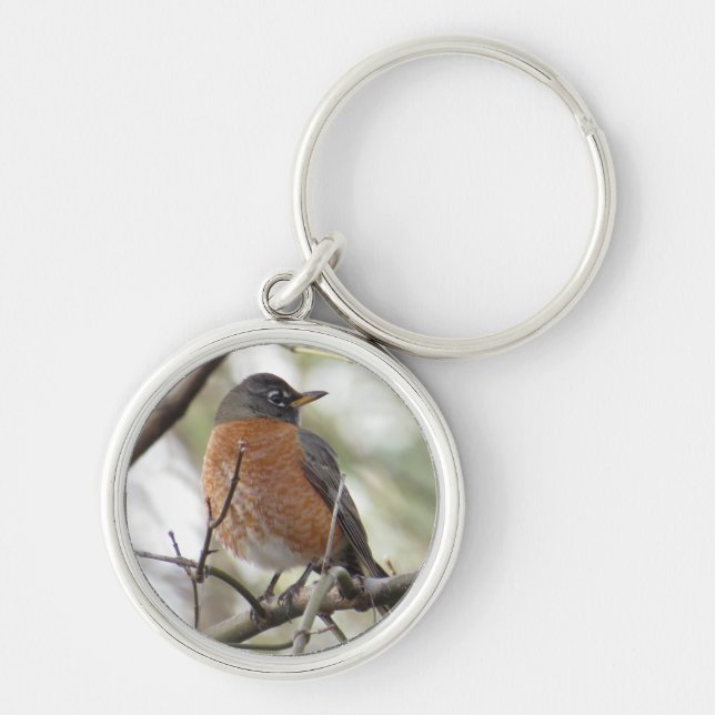 American Robin Key Chain (Front)
