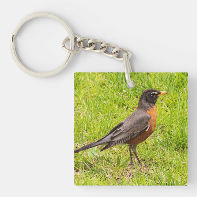 American Robin Key Ring (Front)