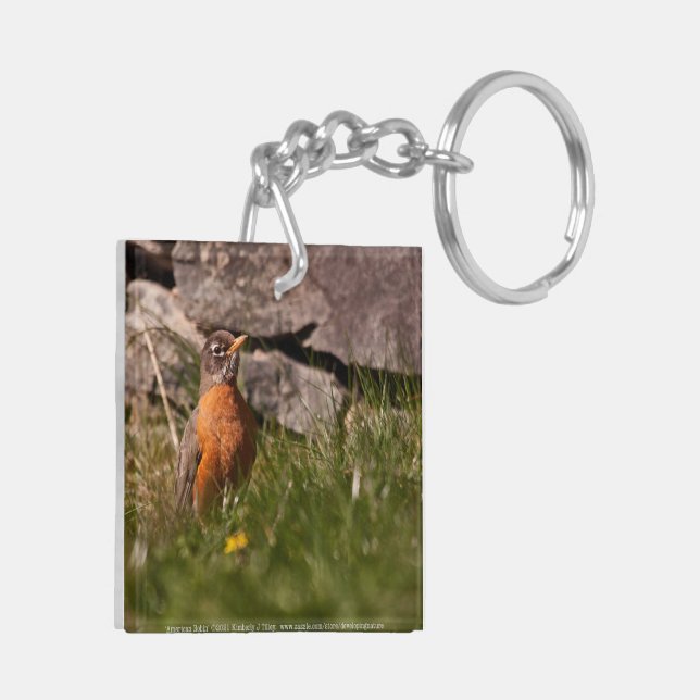 American Robin Key Ring (Back Left)