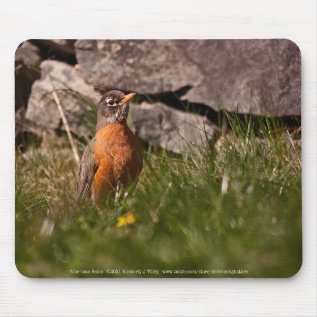 American Robin Mouse Mat (Front)