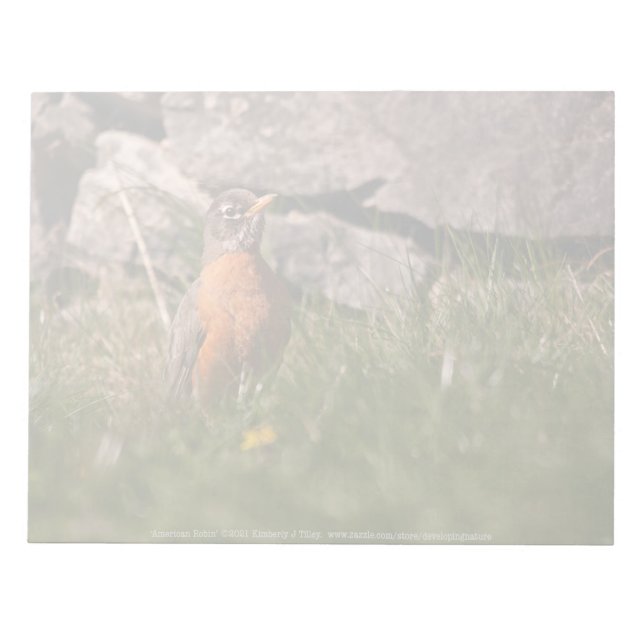 American Robin Notepad (Front)