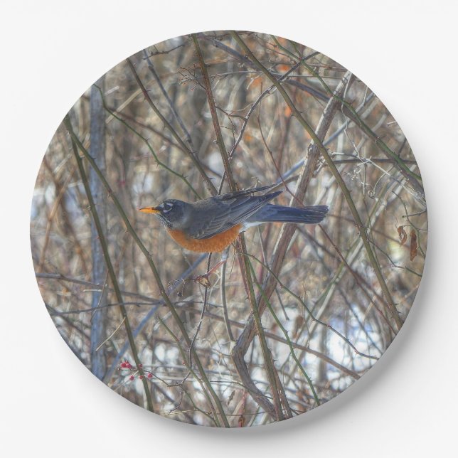 American Robin Paper Plate (Front)