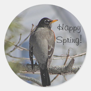 American robin photo classic round sticker