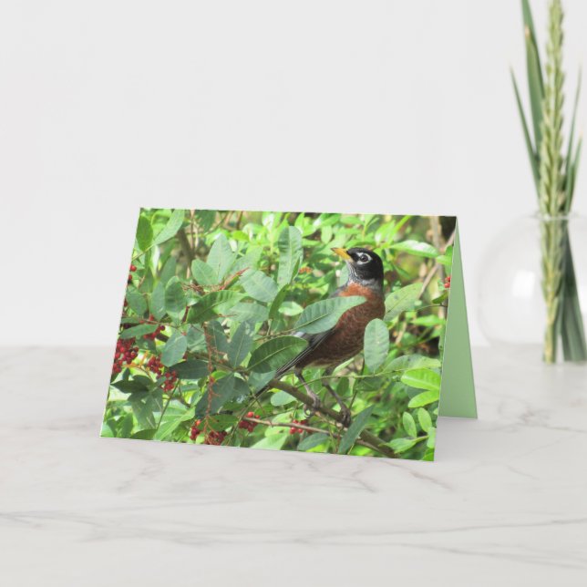 American Robin Portrait - Backyard Bird Series Card (Front)
