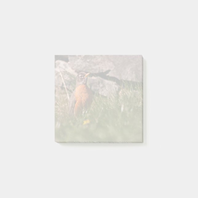 American Robin Post-it Notes (Front)