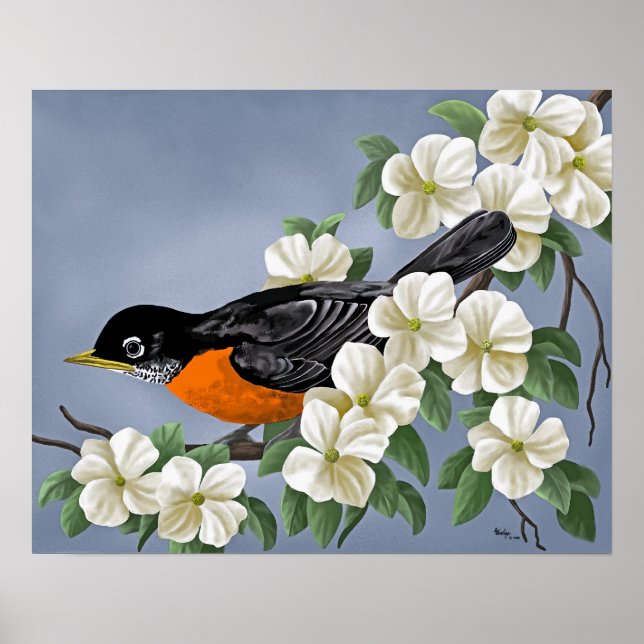 American Robin Poster (Front)