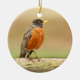 American Robin Standing Ceramic Tree Decoration