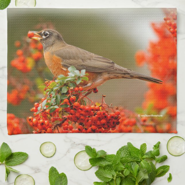 American Robin with a Pyracantha Pomme Tea Towel (Folded)