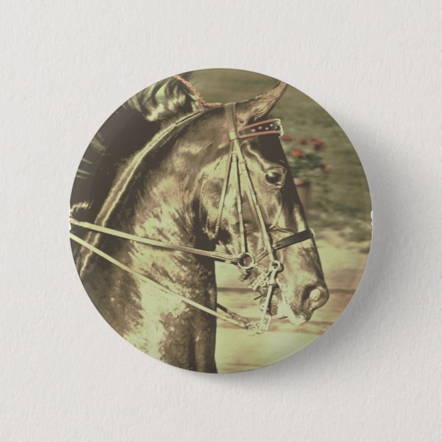 American Saddlebred Faux Vintage 6 Cm Round Badge (Front)