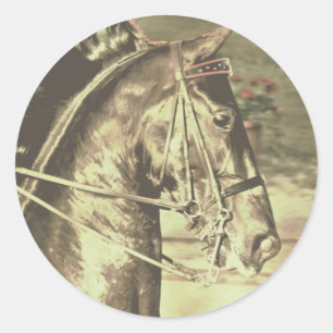 American Saddlebred Faux Vintage Classic Round Sticker