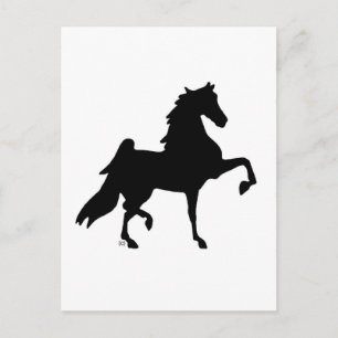 American Saddlebred Horse Postcard