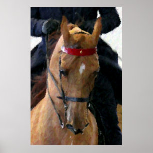 American Saddlebred Horse Poster Print