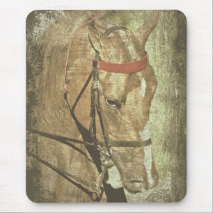 American Saddlebred Mouse Mat