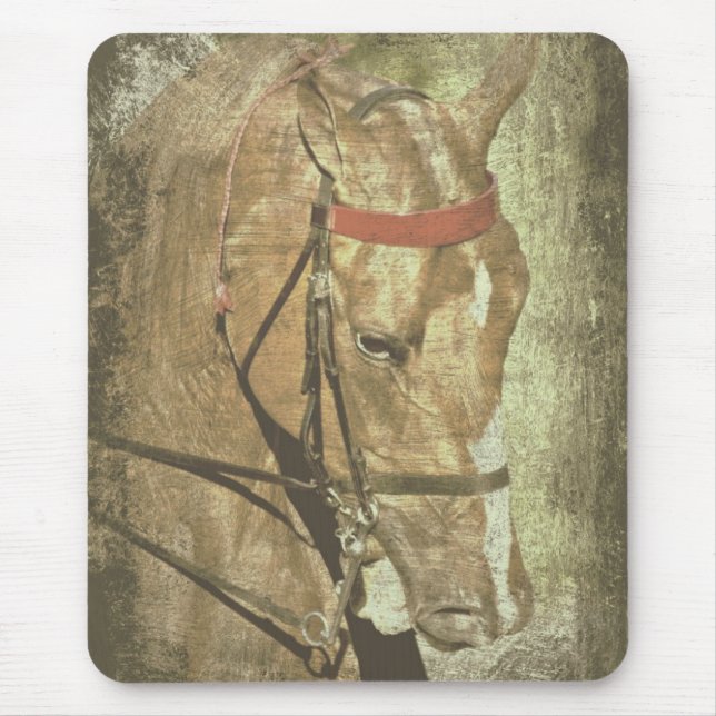 American Saddlebred Mouse Mat (Front)