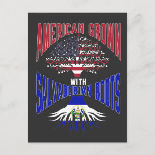 American Salvadorian Roots USA El Salvador Flag Postcard