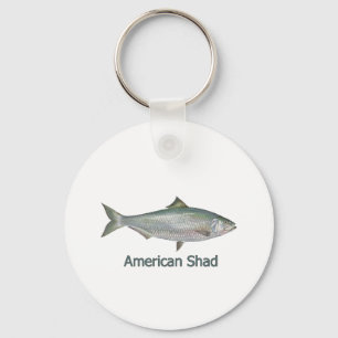 American Shad (titled) Key Ring