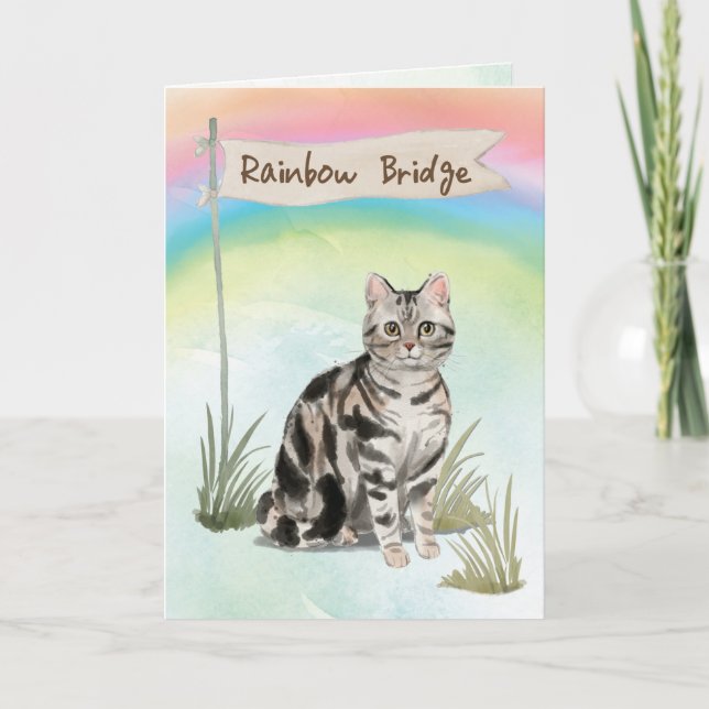 American Short Hair Cat Pet Sympathy Over Rainbow  Card (Front)