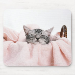 American Shorthair 10 Mouse Mat