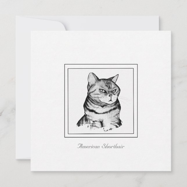 American Shorthair Black and White Cat Card (Front)